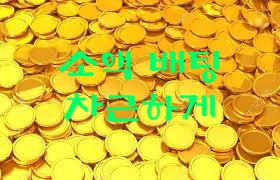 소액 배팅